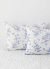 이미지를 찾을 수 없습니다.