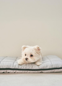 이미지를 찾을 수 없습니다.