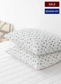 이미지를 찾을 수 없습니다.