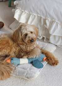 이미지를 찾을 수 없습니다.