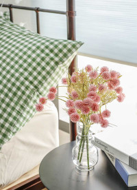 이미지를 찾을 수 없습니다.