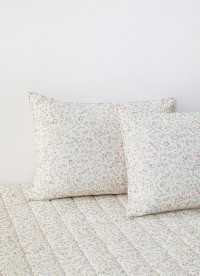 이미지를 찾을 수 없습니다.