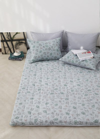 이미지를 찾을 수 없습니다.