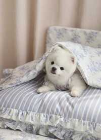 이미지를 찾을 수 없습니다.