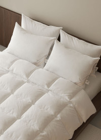 이미지를 찾을 수 없습니다.