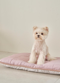 이미지를 찾을 수 없습니다.