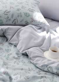 이미지를 찾을 수 없습니다.