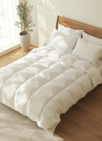 이미지를 찾을 수 없습니다.