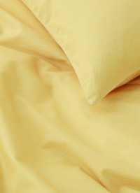 이미지를 찾을 수 없습니다.