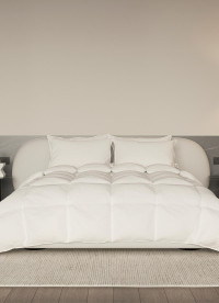 이미지를 찾을 수 없습니다.