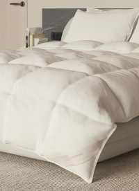 이미지를 찾을 수 없습니다.