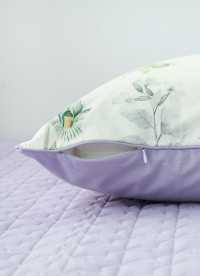 이미지를 찾을 수 없습니다.