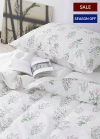 이미지를 찾을 수 없습니다.