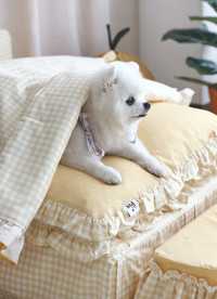 이미지를 찾을 수 없습니다.