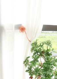 이미지를 찾을 수 없습니다.