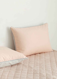 이미지를 찾을 수 없습니다.