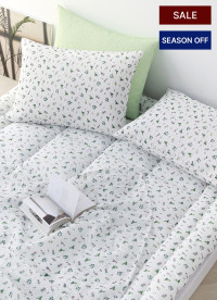 이미지를 찾을 수 없습니다.