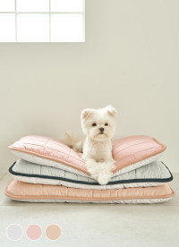 이미지를 찾을 수 없습니다.