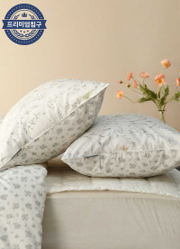 이미지를 찾을 수 없습니다.