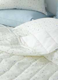 이미지를 찾을 수 없습니다.