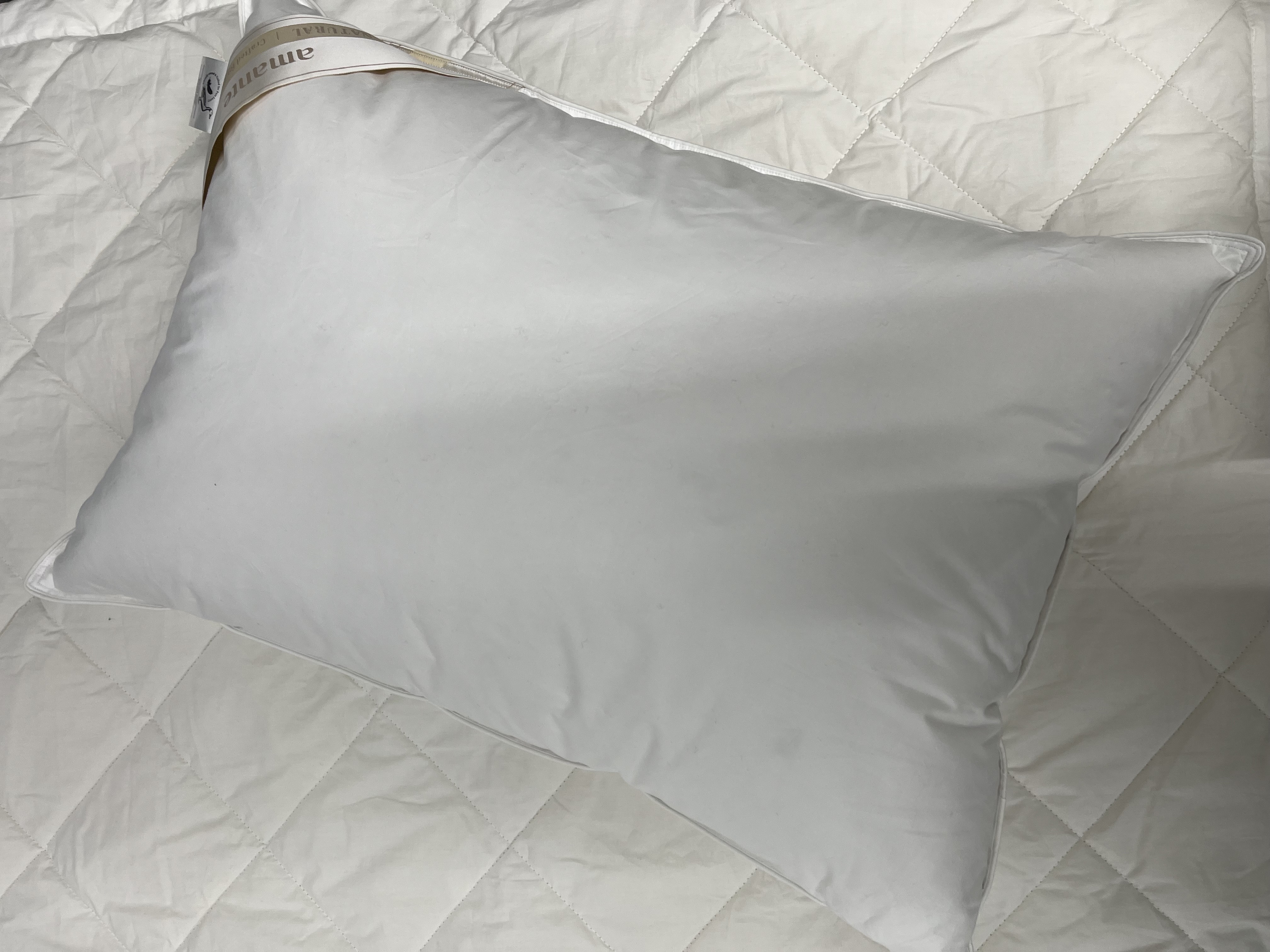 이미지를 찾을 수 없습니다.