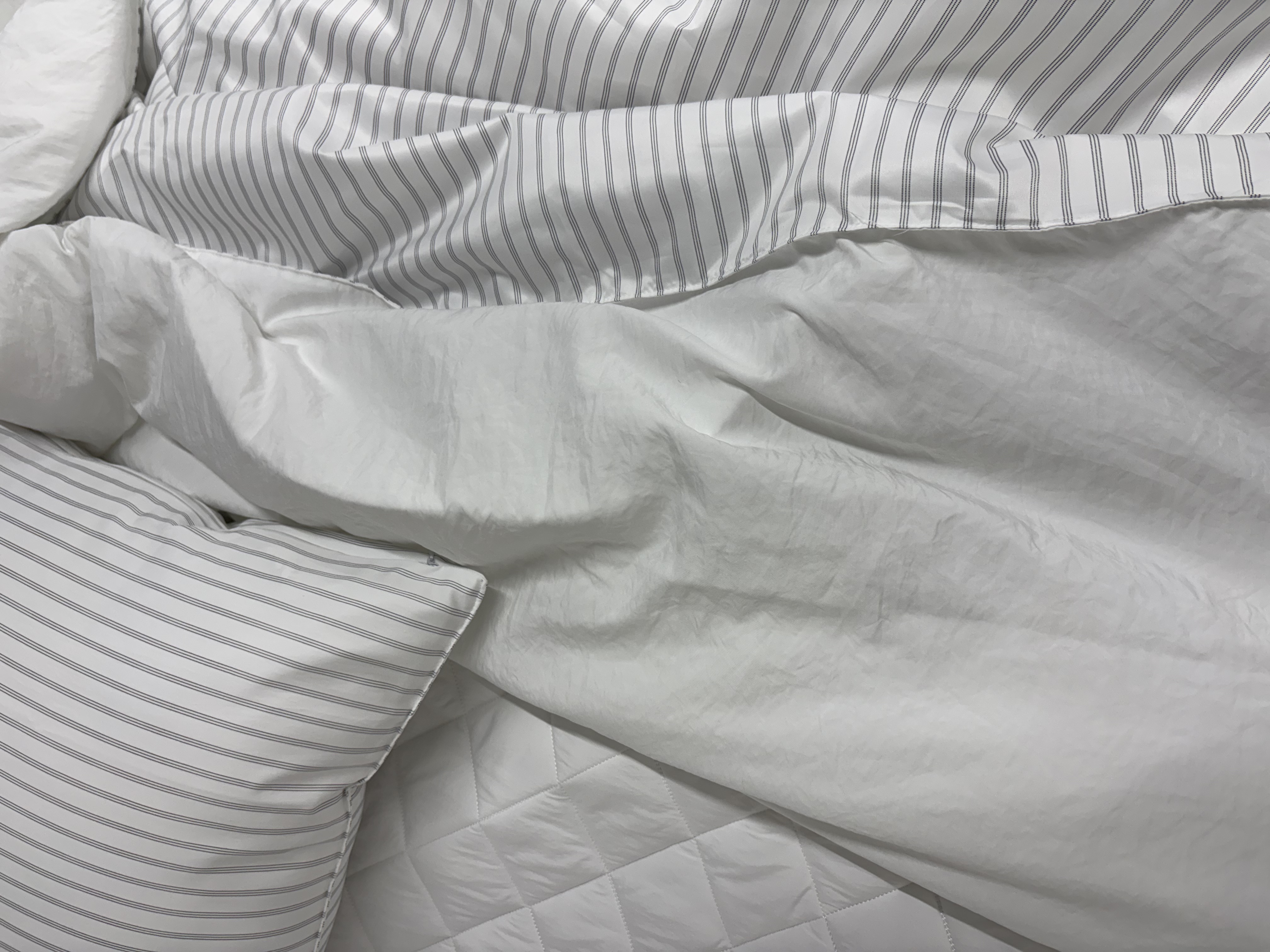 이미지를 찾을 수 없습니다.