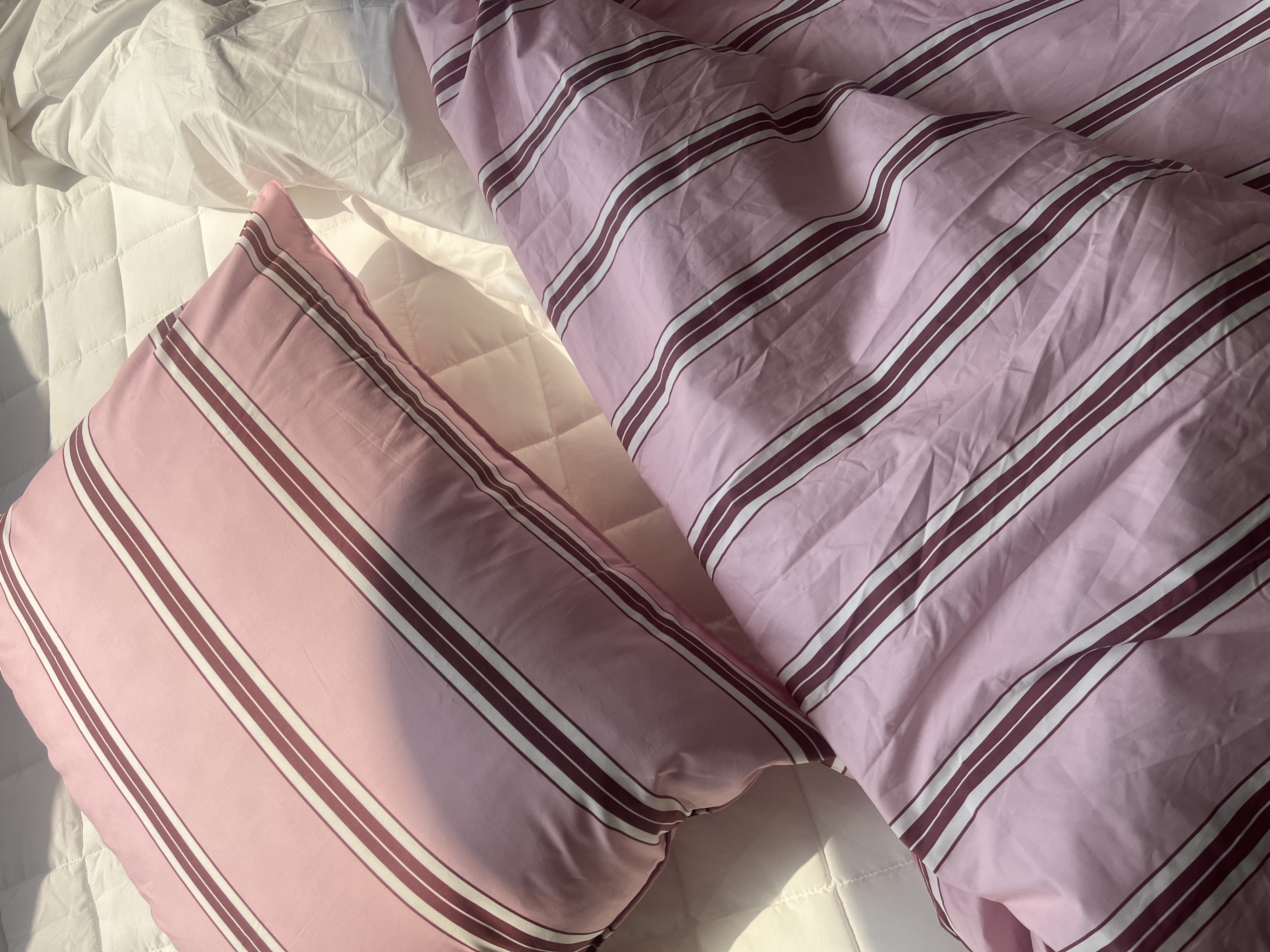 이미지를 찾을 수 없습니다.