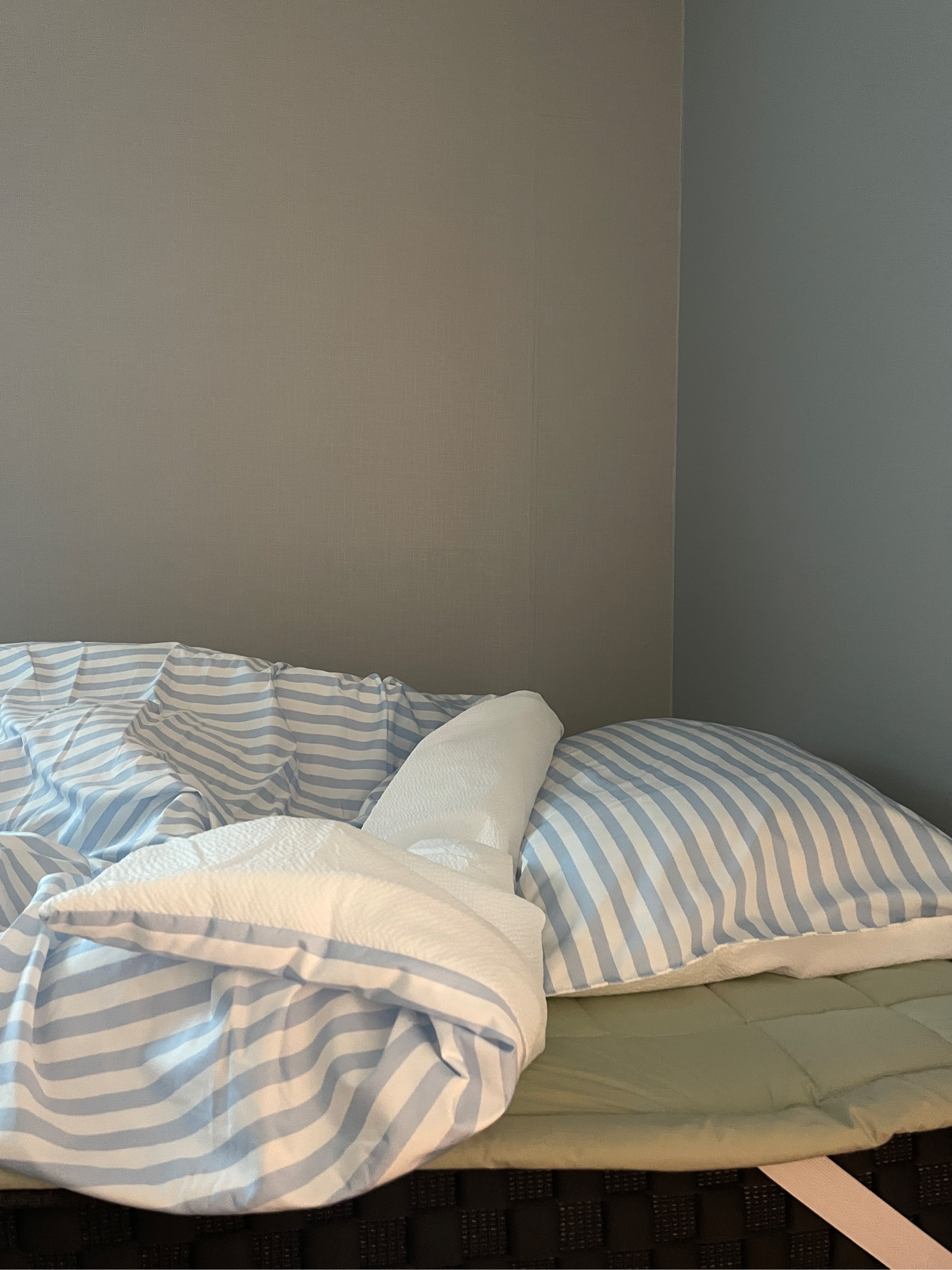 이미지를 찾을 수 없습니다.