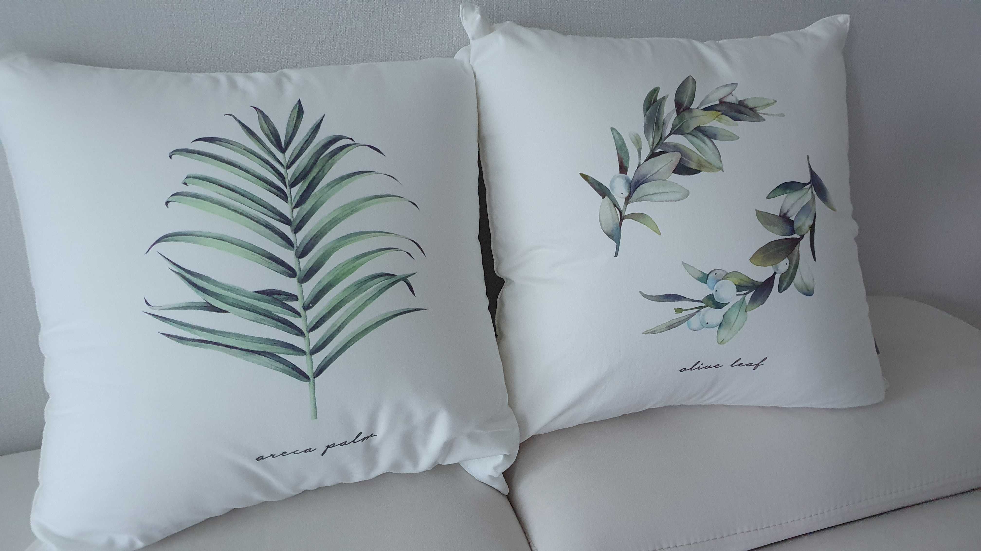 이미지를 찾을 수 없습니다.