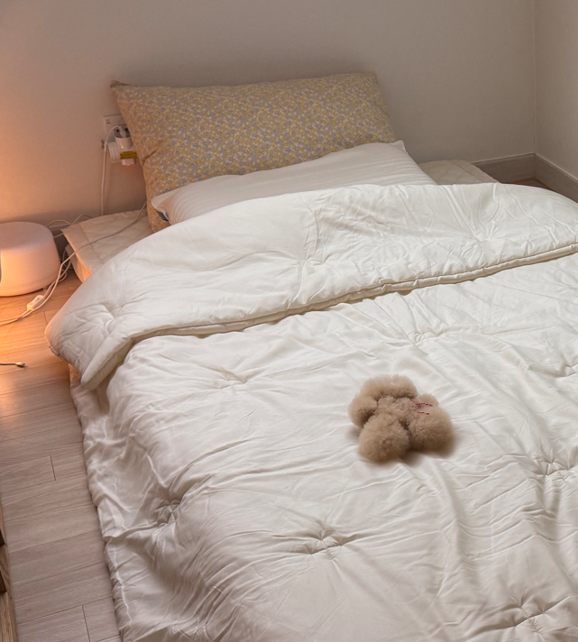 이미지를 찾을 수 없습니다.