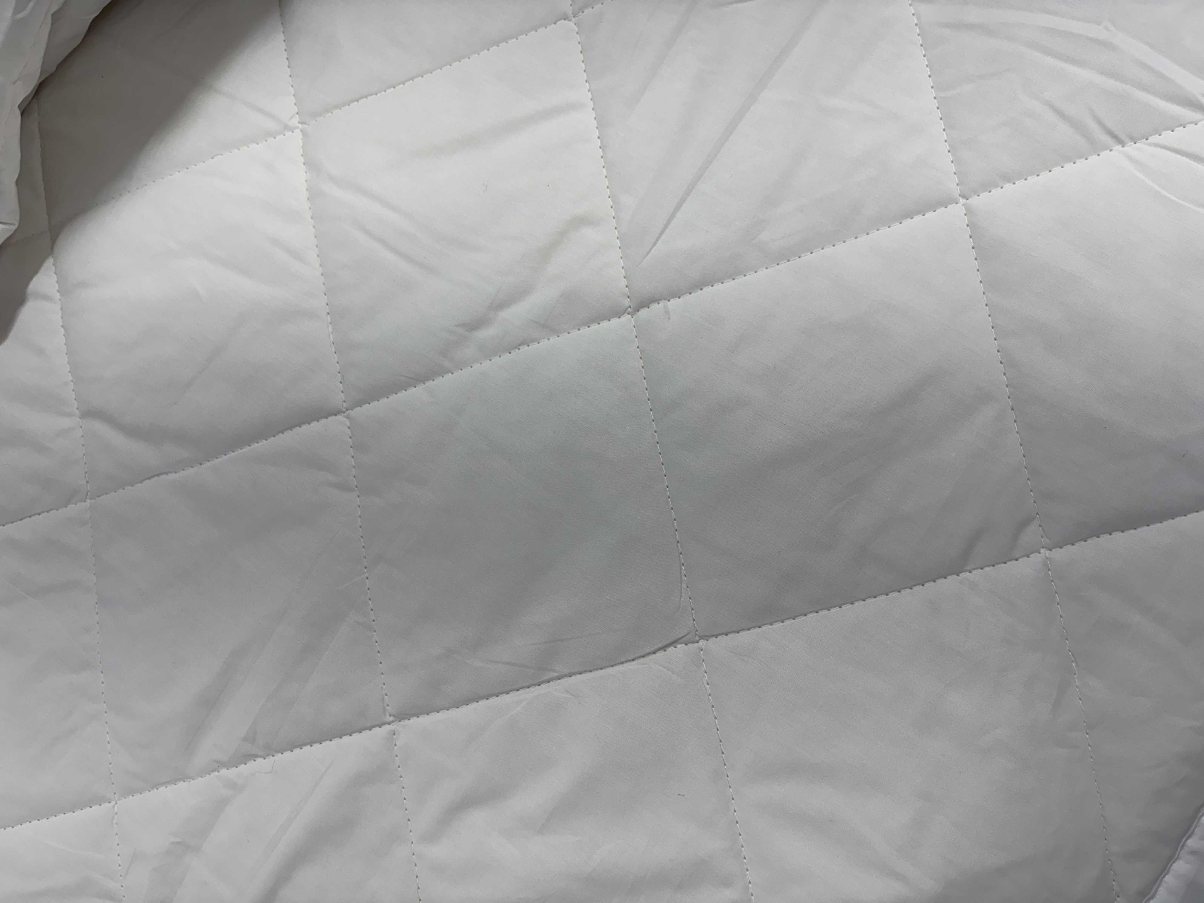 이미지를 찾을 수 없습니다.