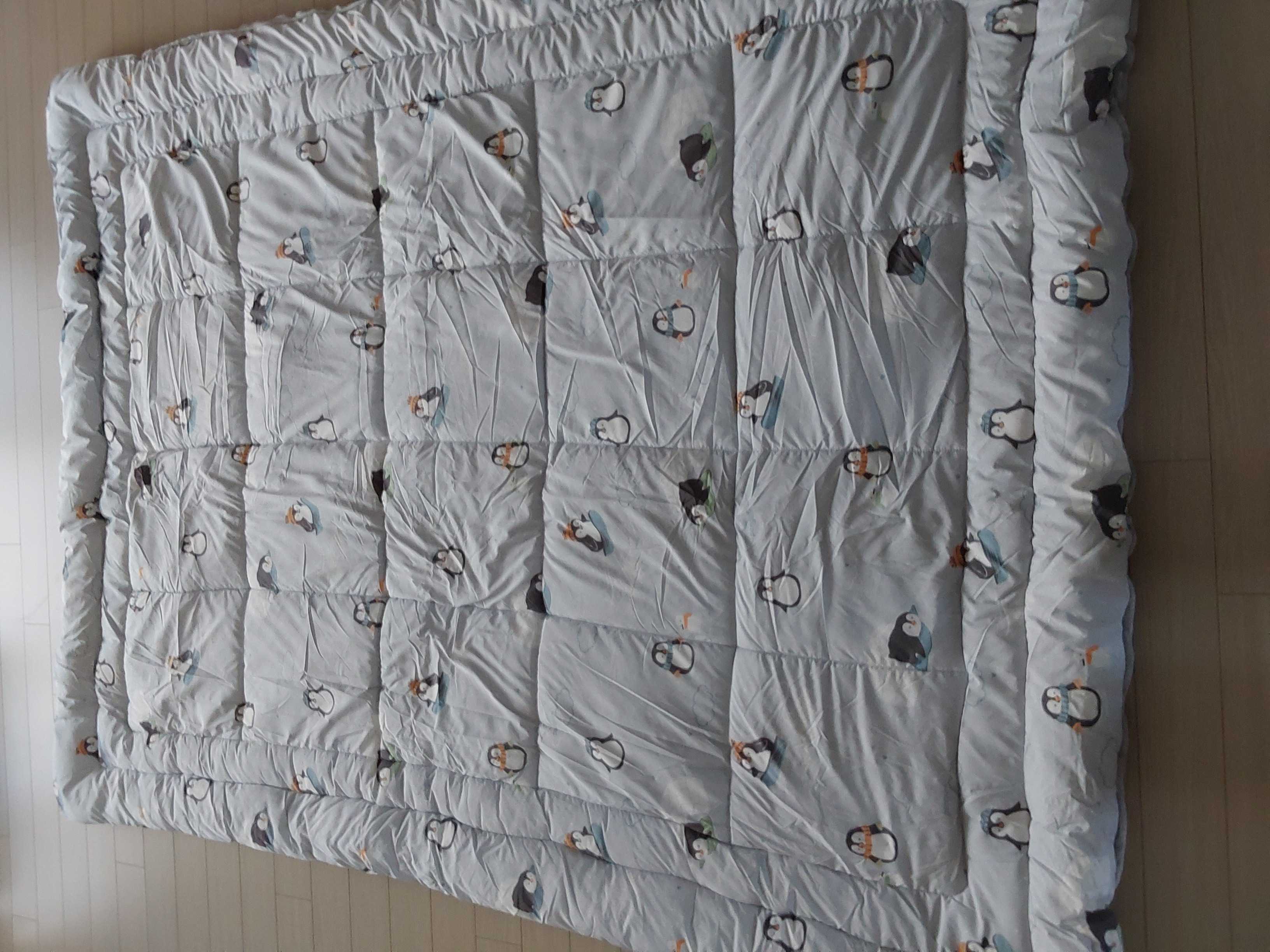 이미지를 찾을 수 없습니다.