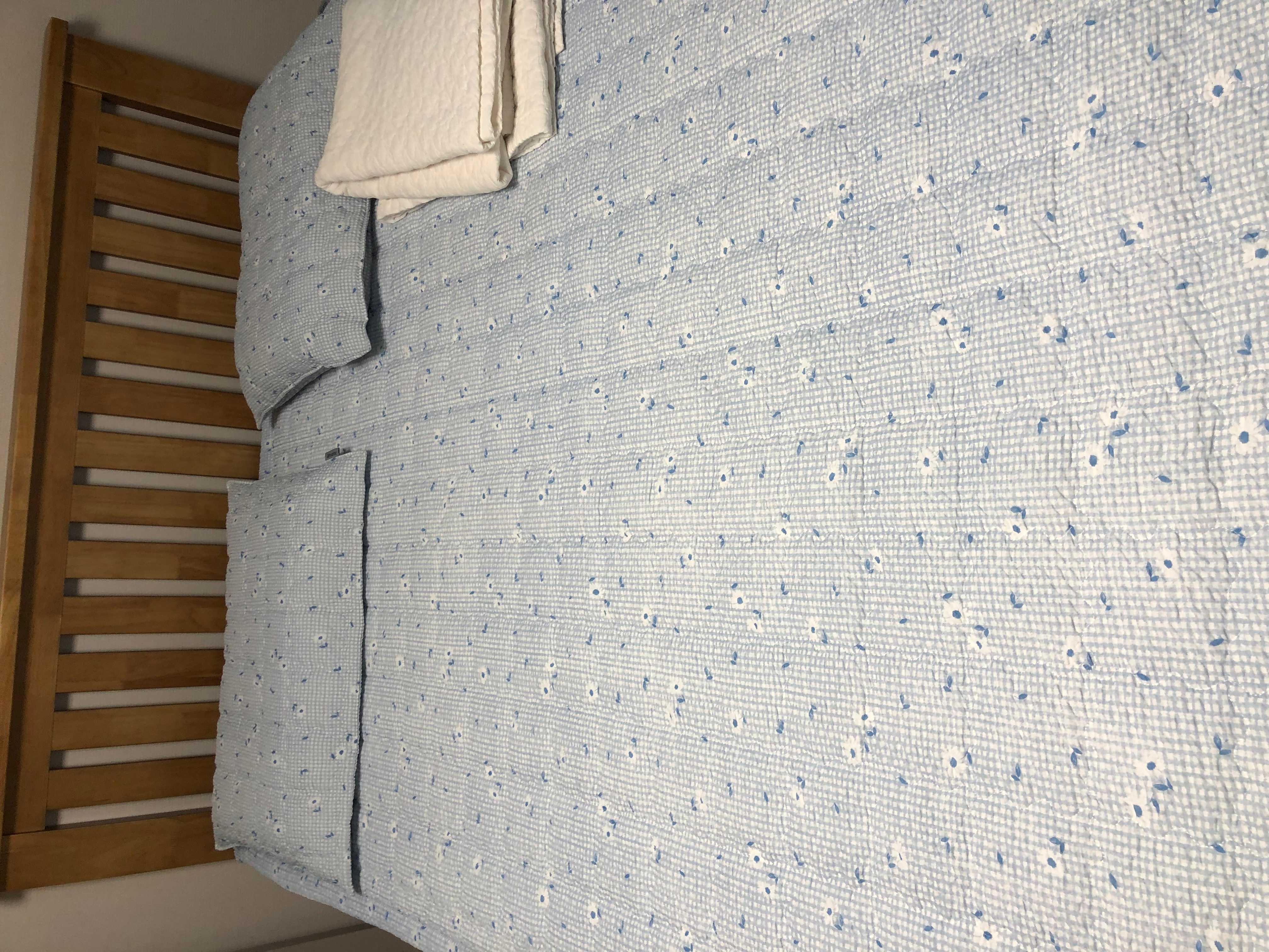 이미지를 찾을 수 없습니다.