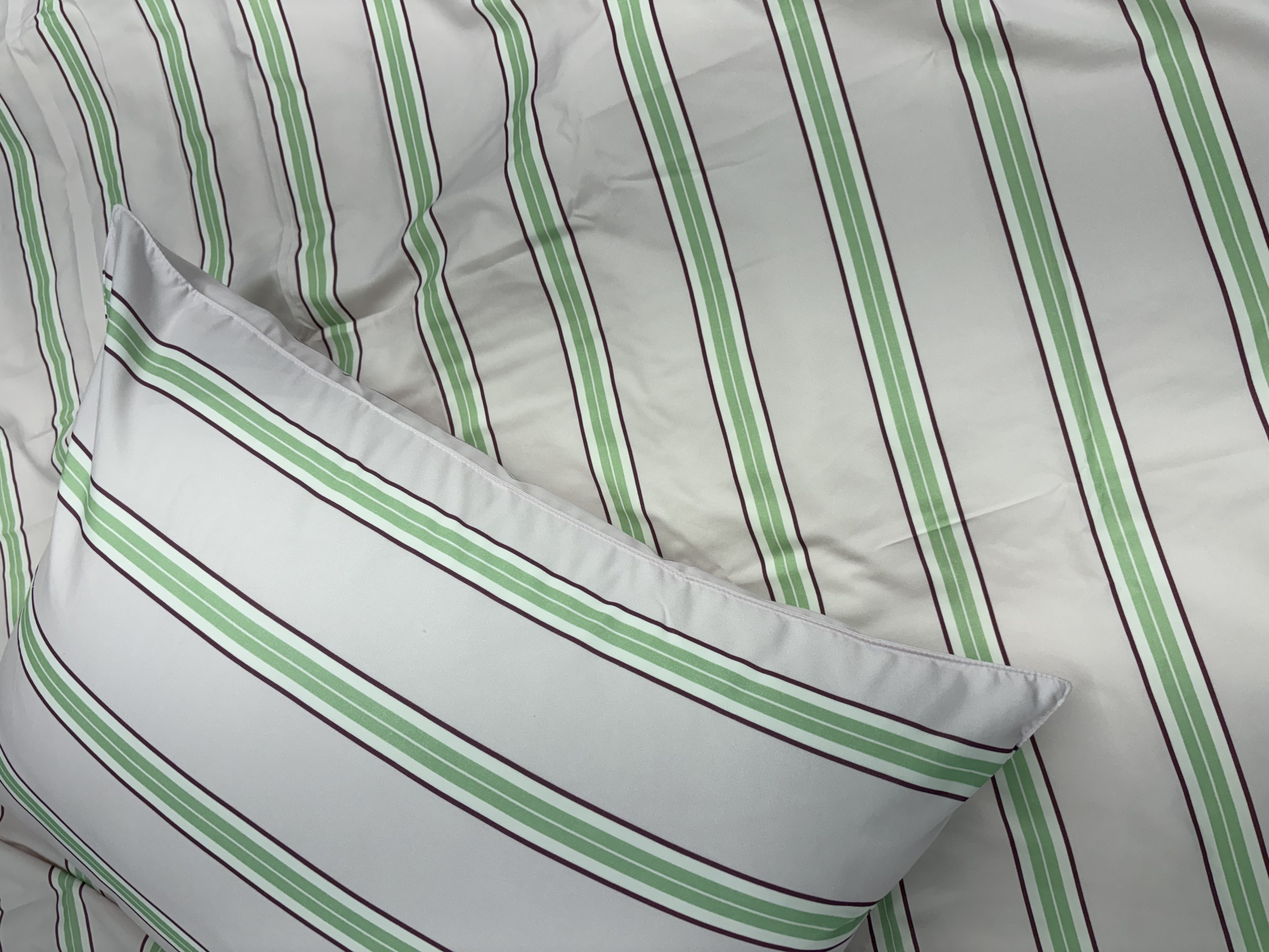 이미지를 찾을 수 없습니다.