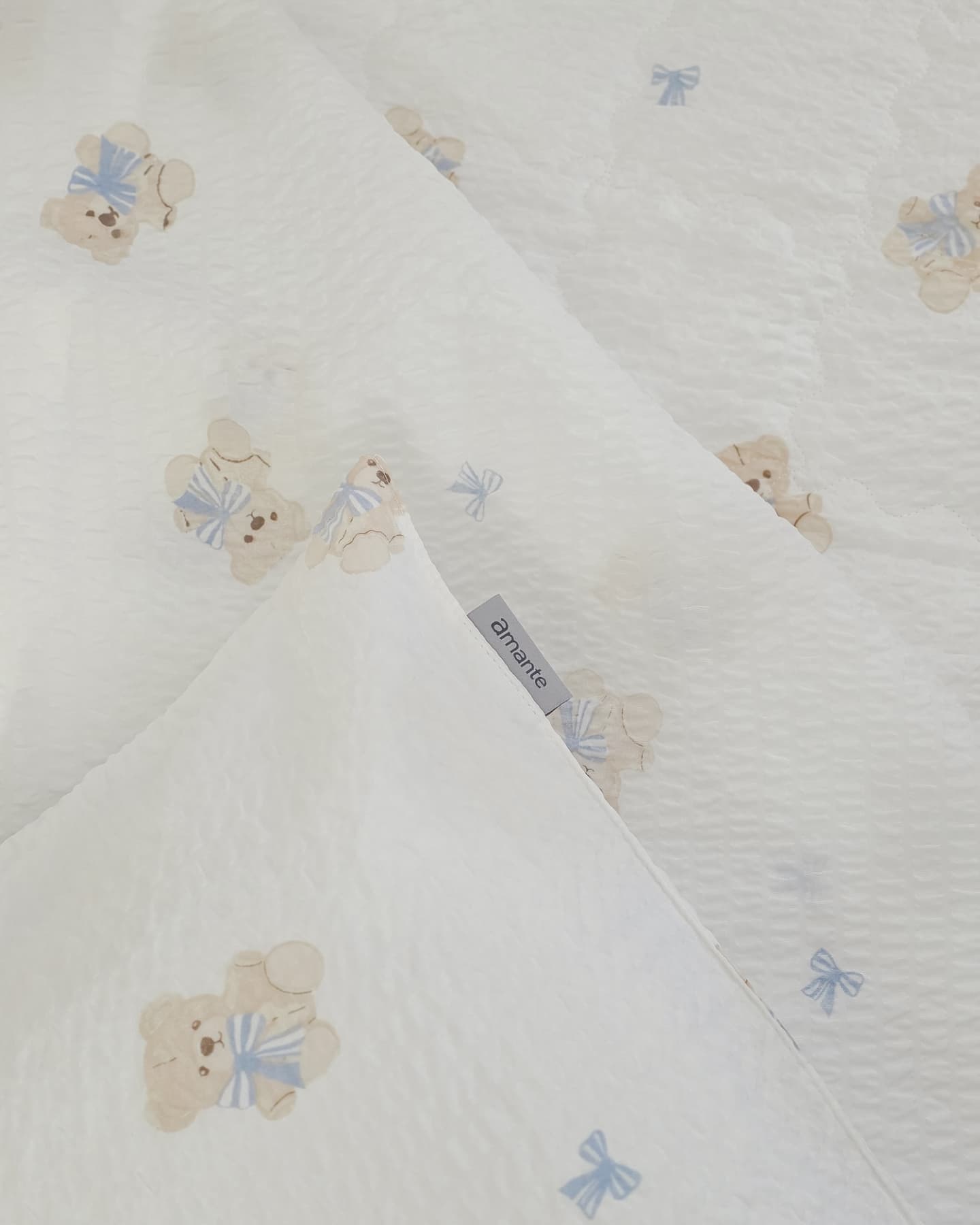 이미지를 찾을 수 없습니다.