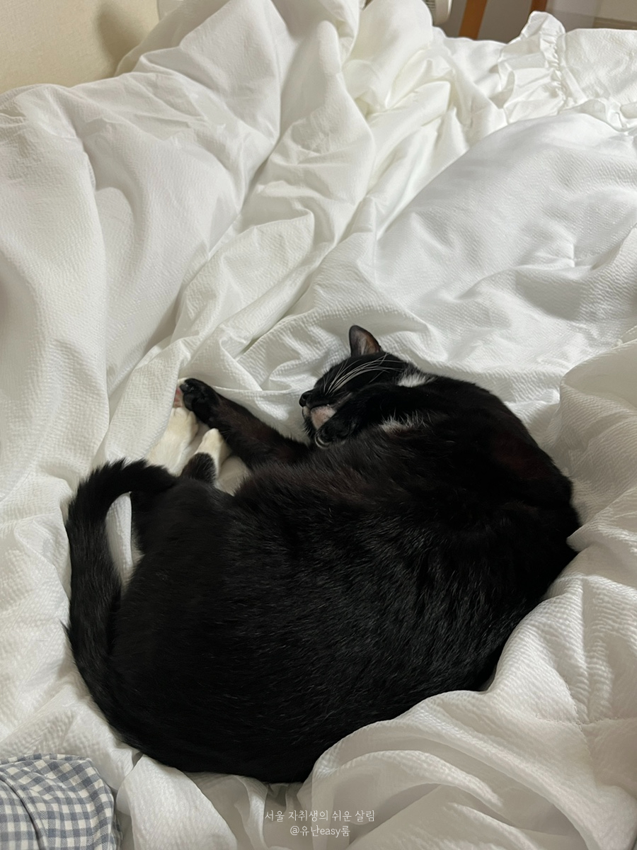 이미지를 찾을 수 없습니다.