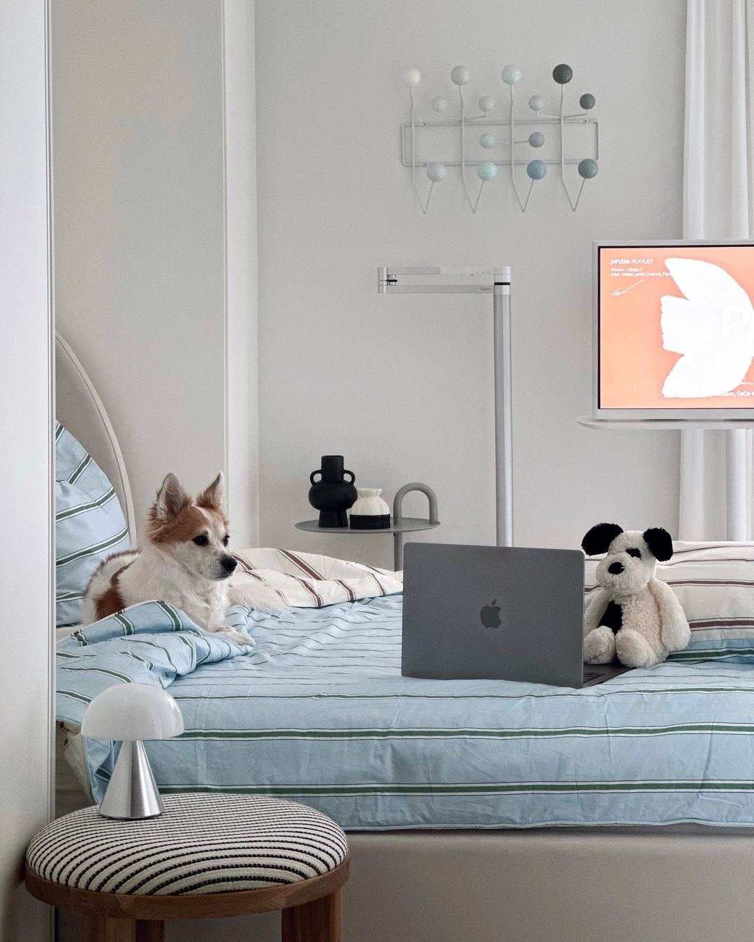 이미지를 찾을 수 없습니다.