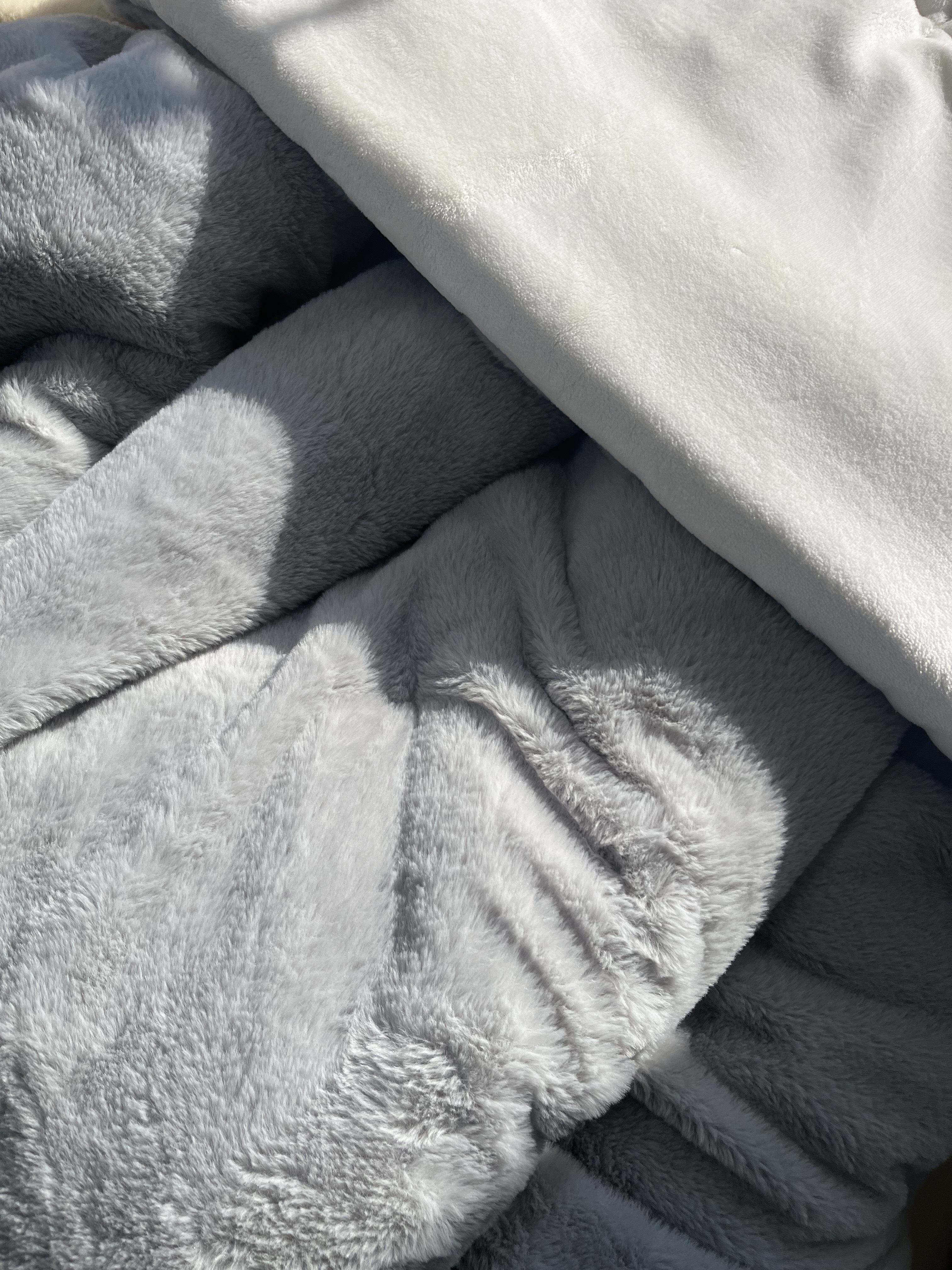 이미지를 찾을 수 없습니다.