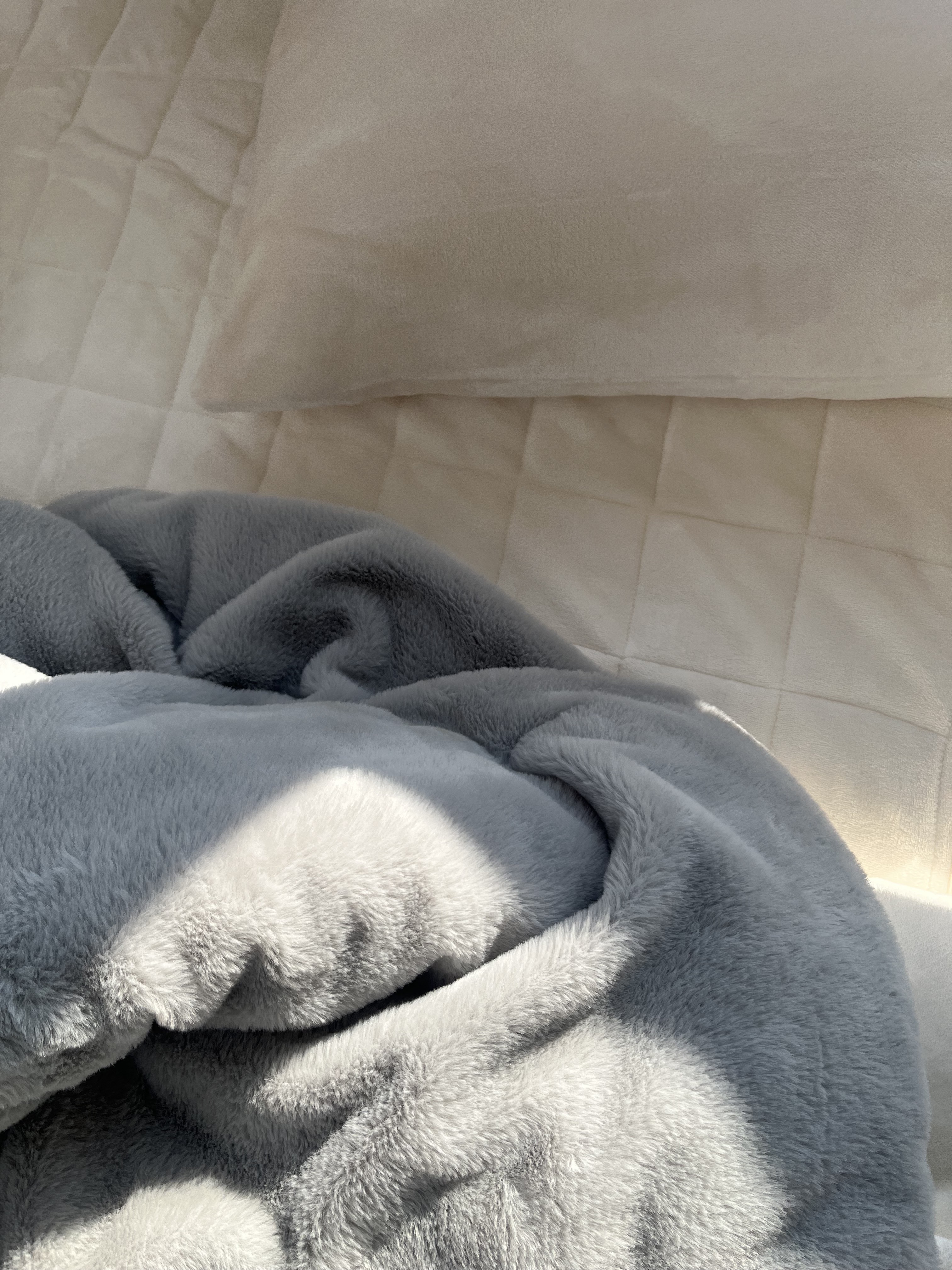 이미지를 찾을 수 없습니다.