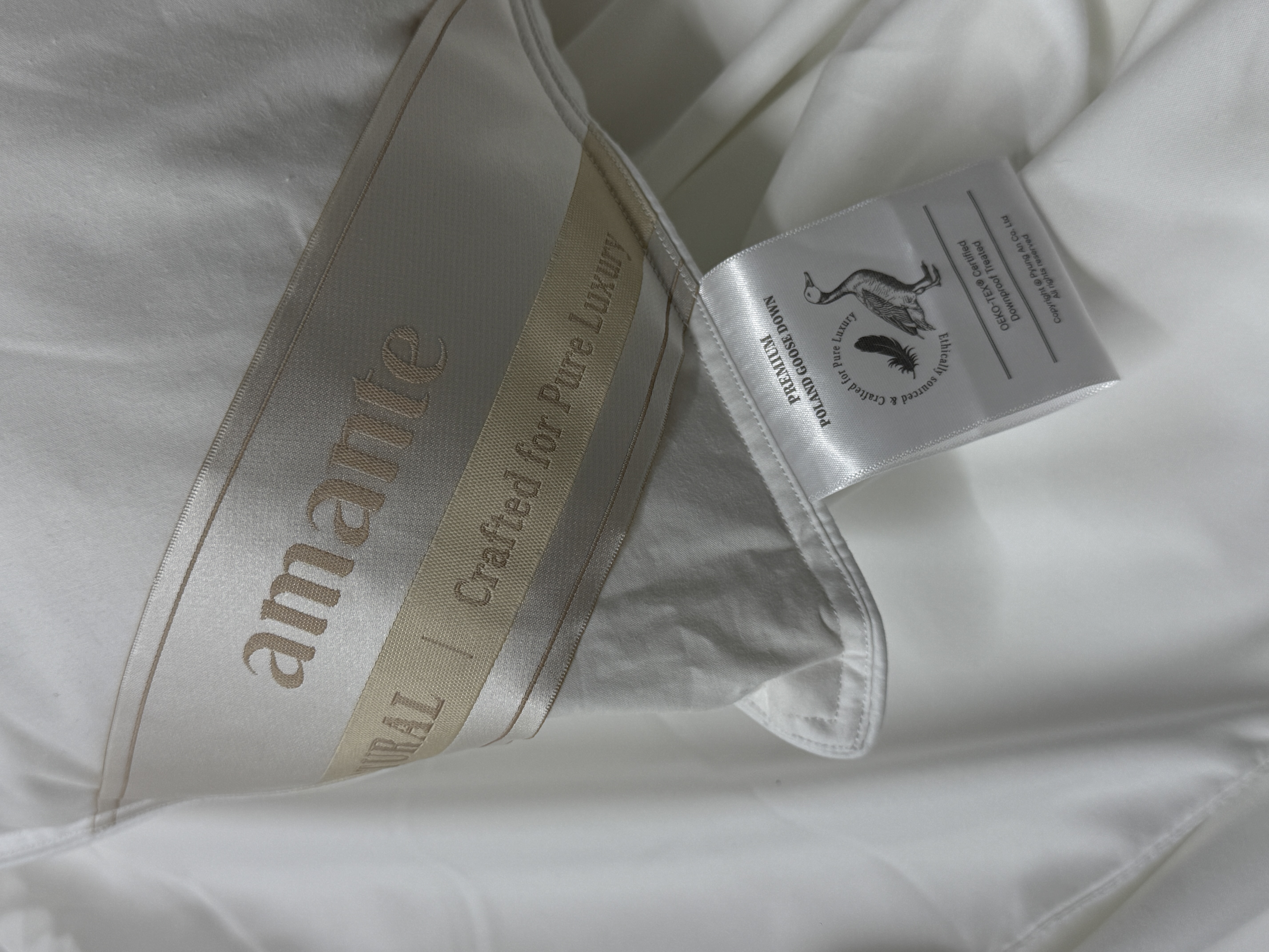 이미지를 찾을 수 없습니다.