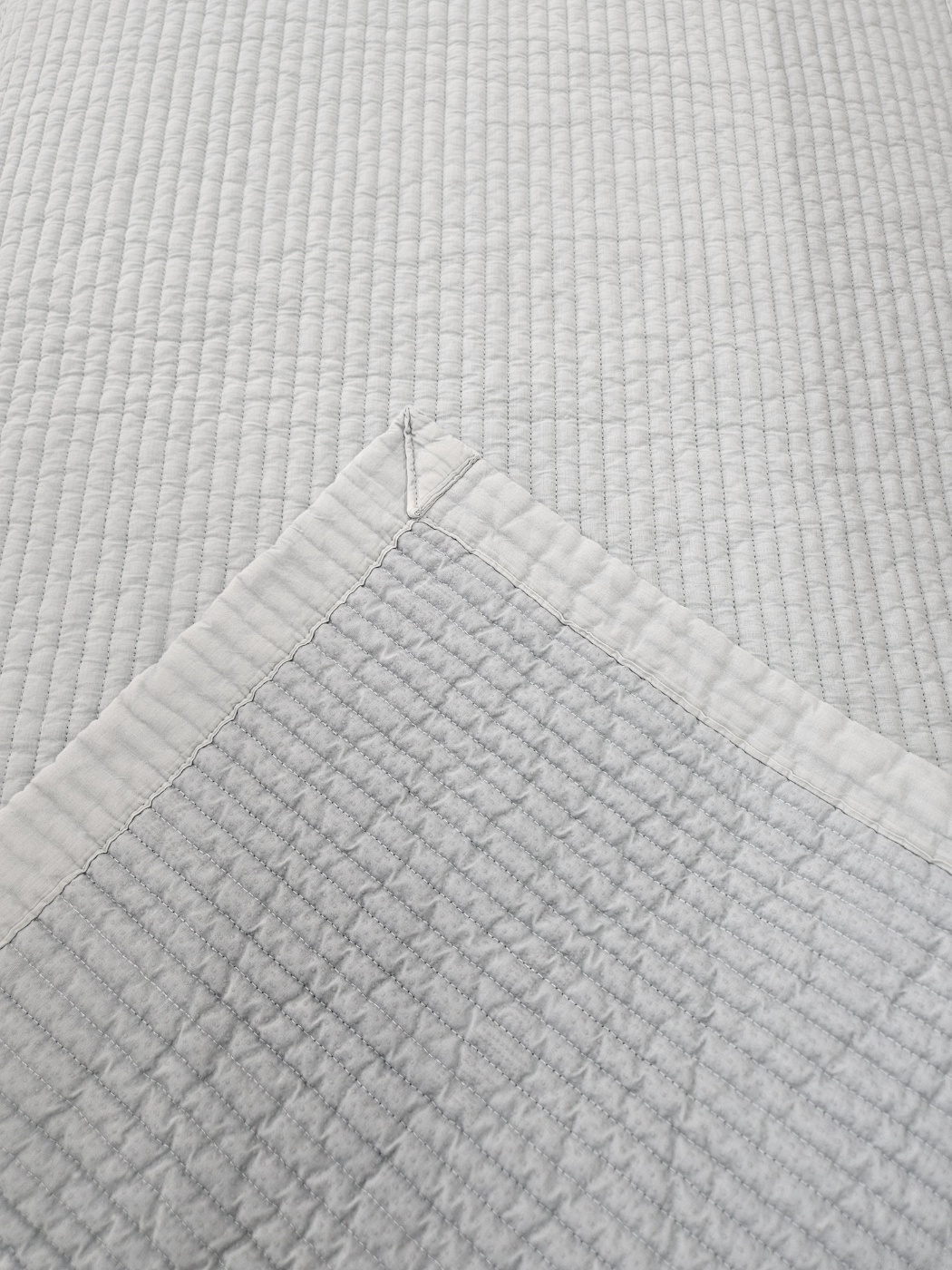 이미지를 찾을 수 없습니다.