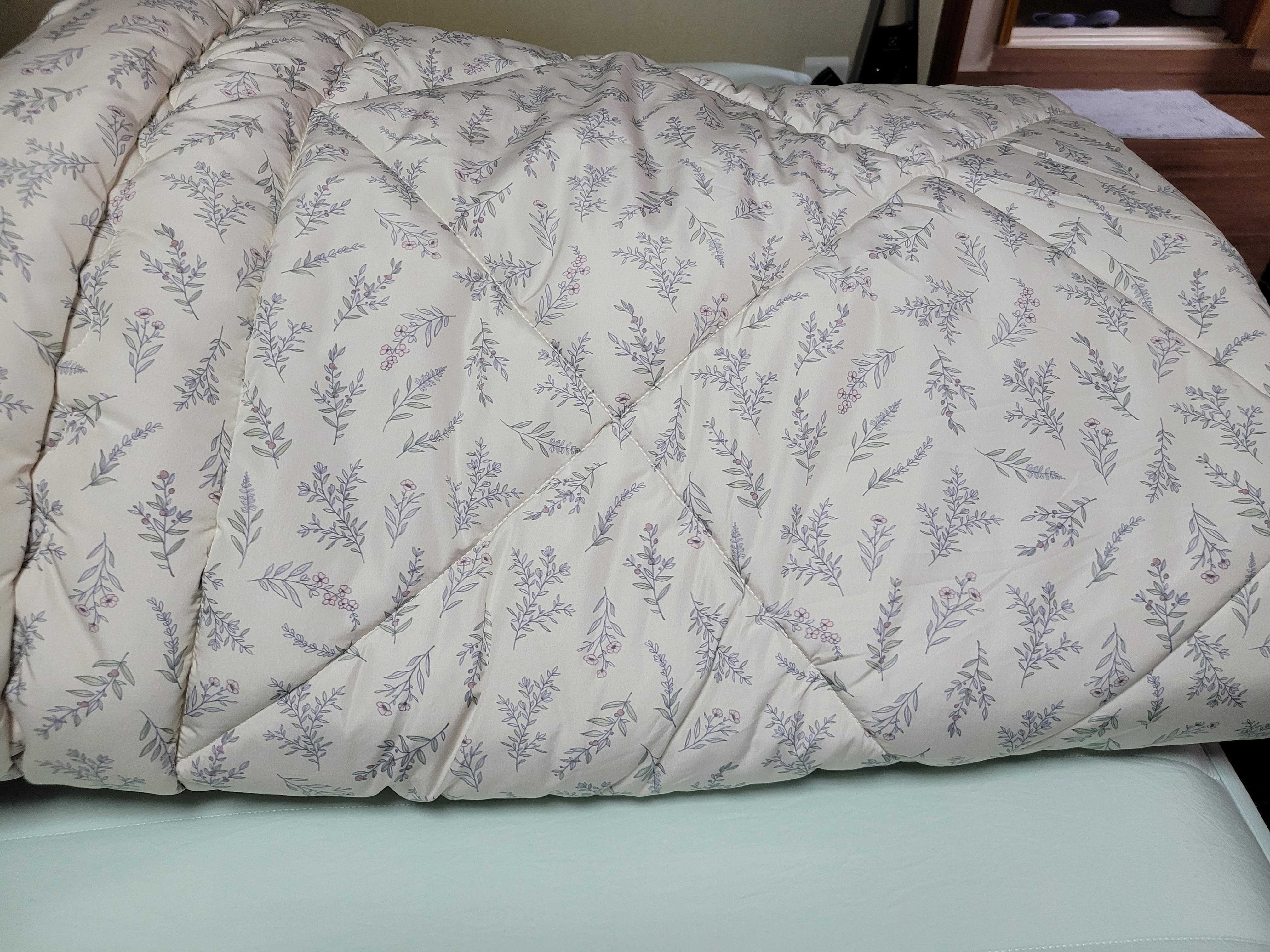 이미지를 찾을 수 없습니다.