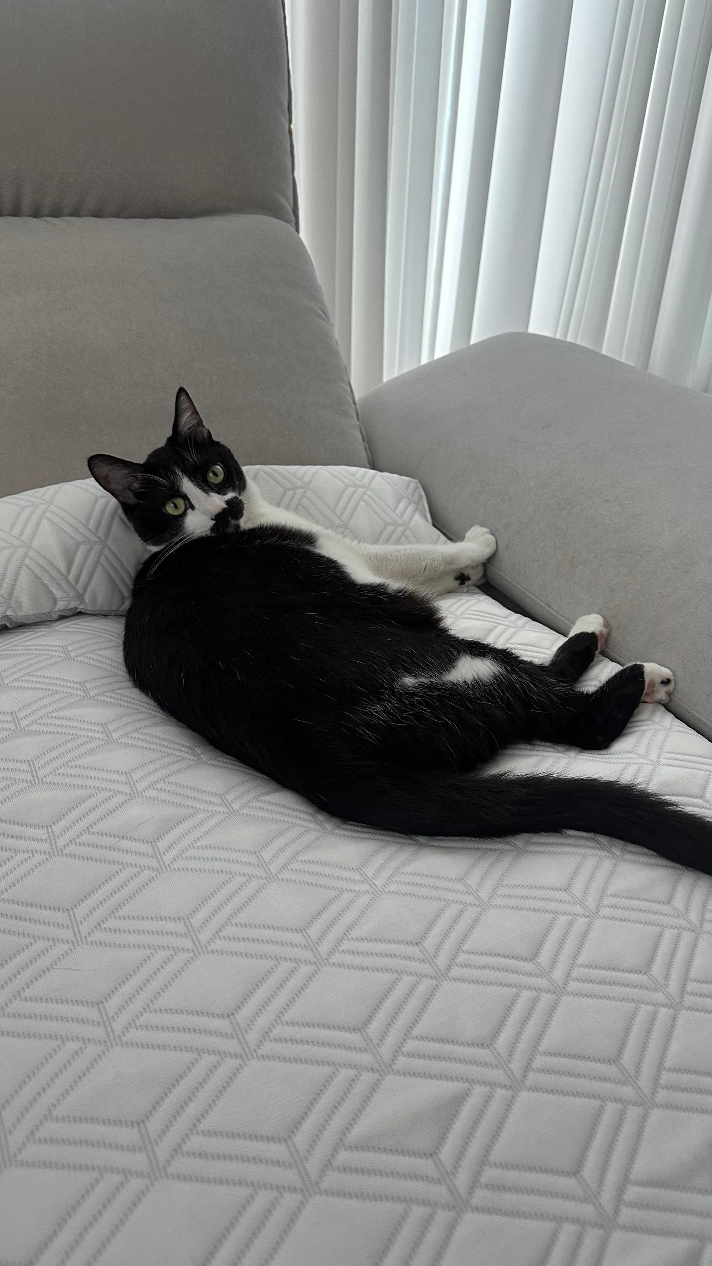 이미지를 찾을 수 없습니다.