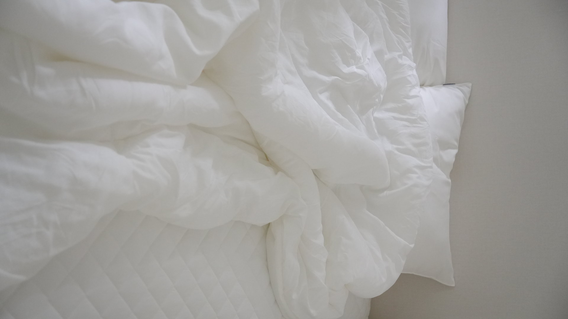 이미지를 찾을 수 없습니다.