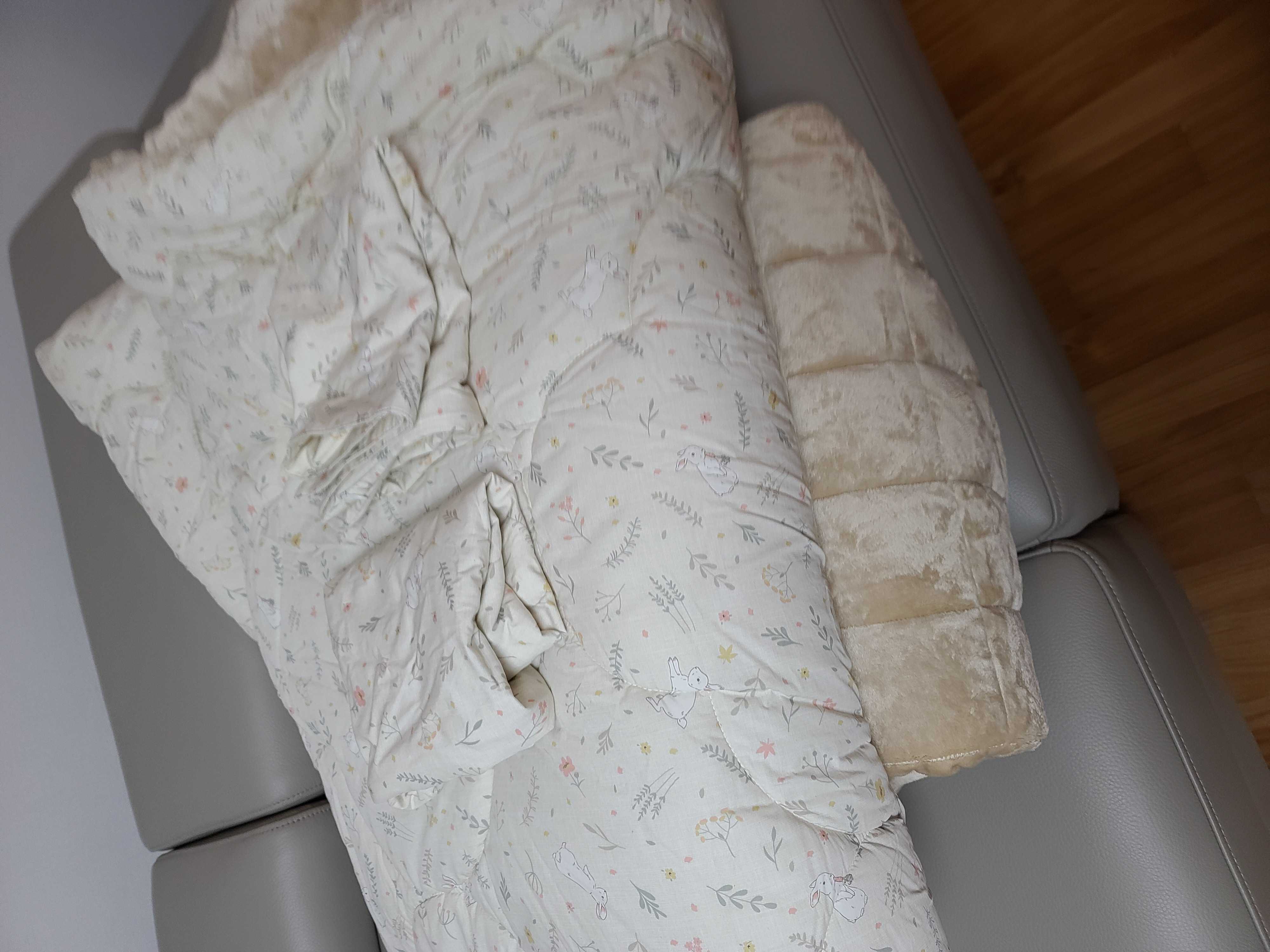 이미지를 찾을 수 없습니다.