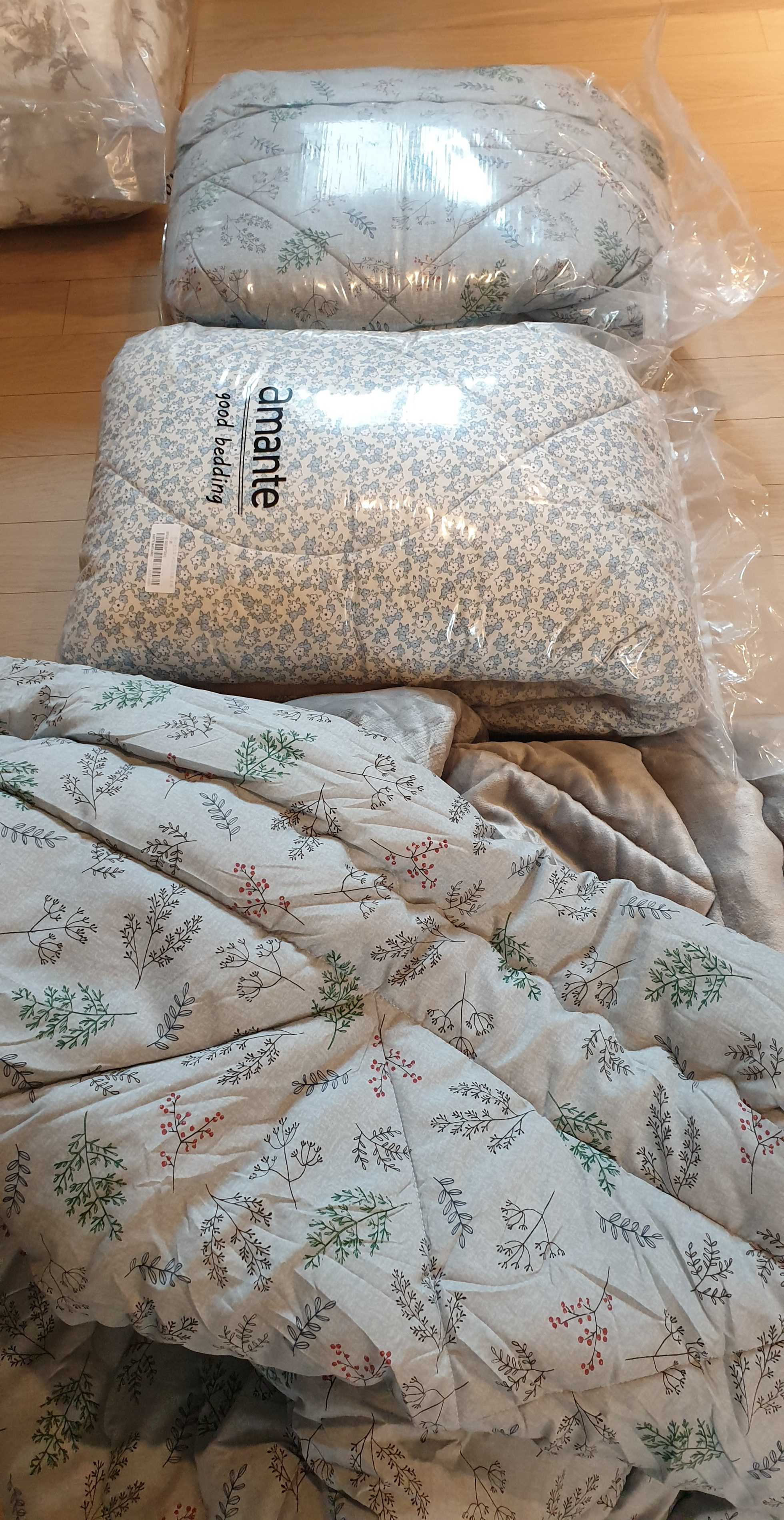 이미지를 찾을 수 없습니다.