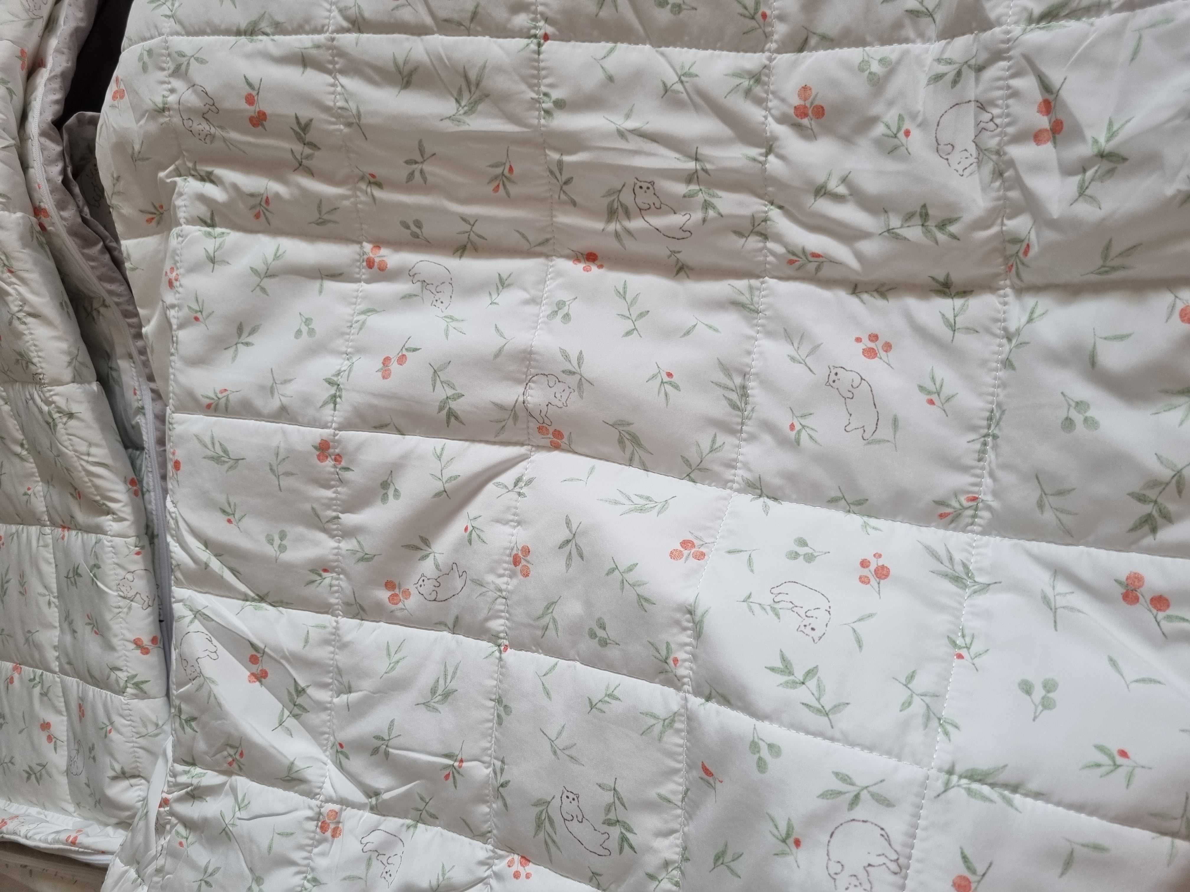 이미지를 찾을 수 없습니다.