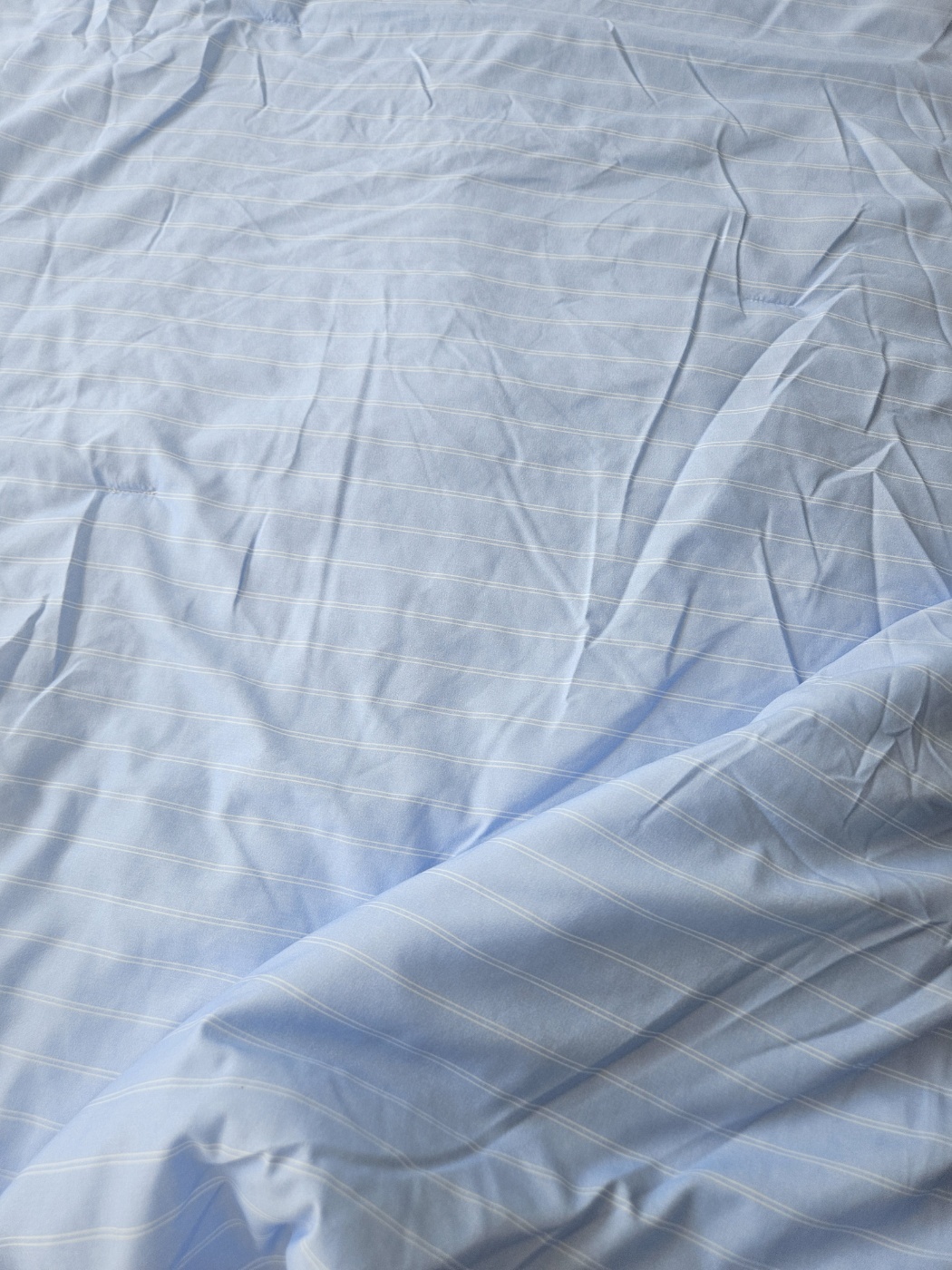 이미지를 찾을 수 없습니다.