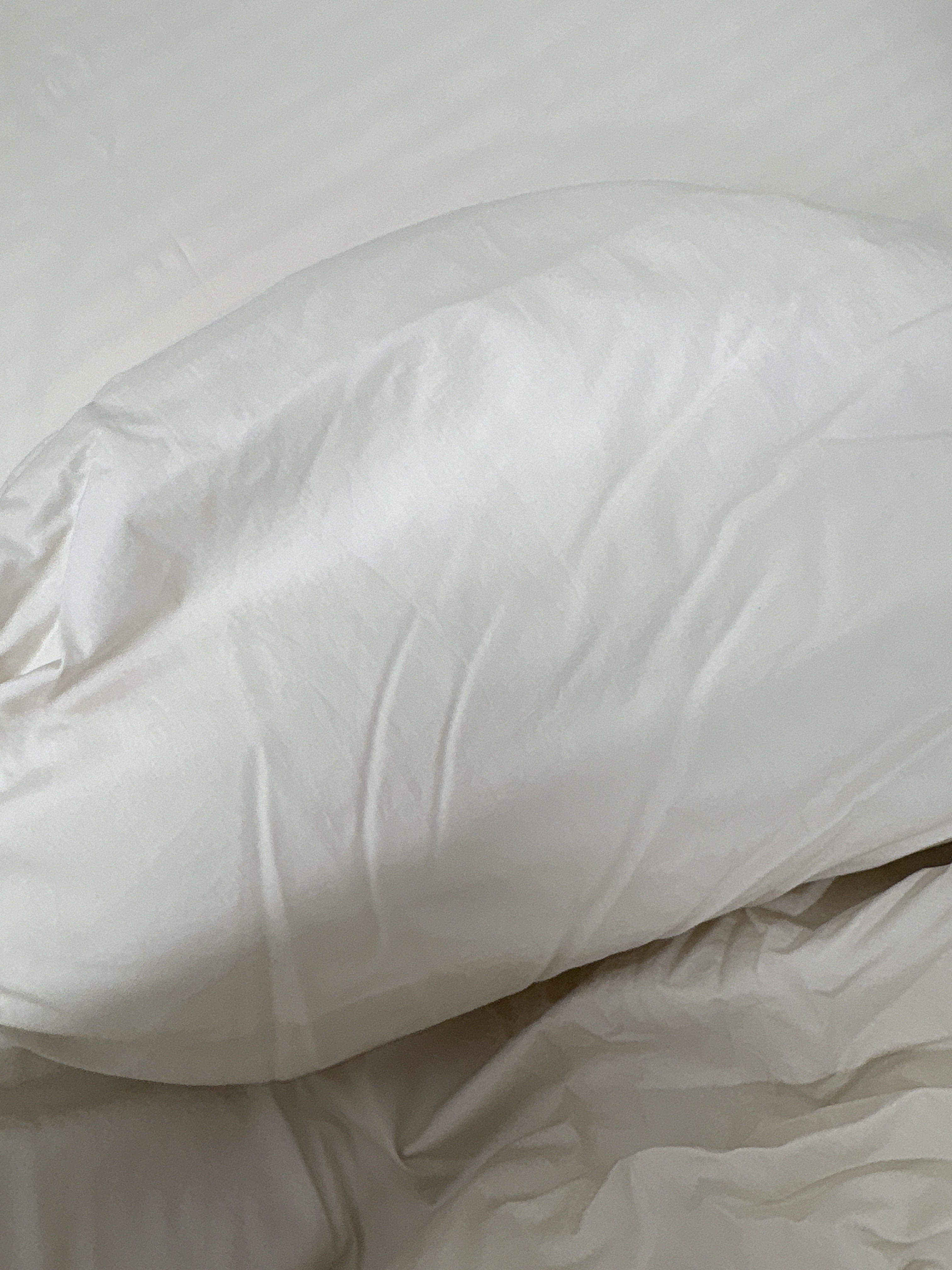 이미지를 찾을 수 없습니다.