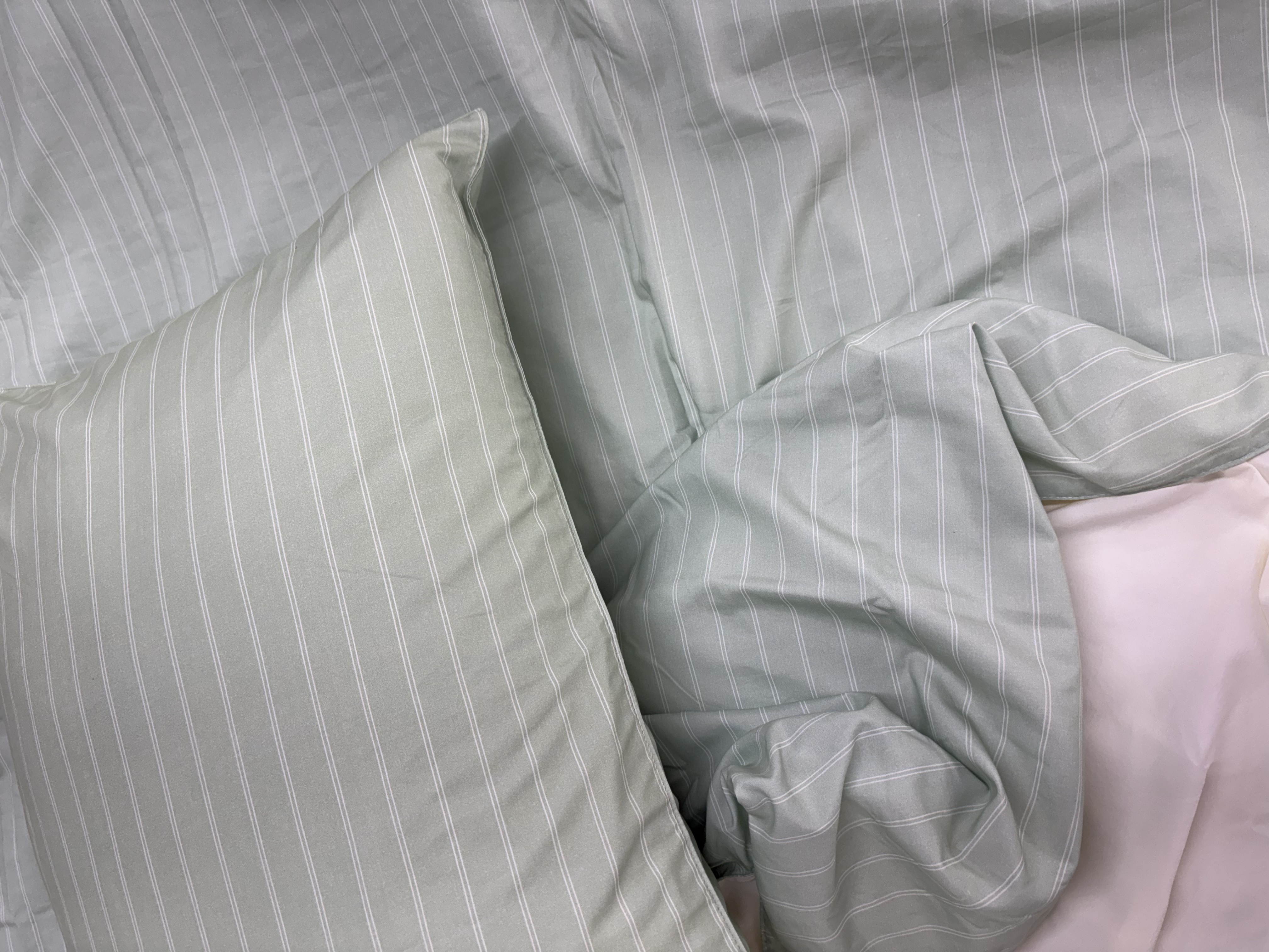 이미지를 찾을 수 없습니다.